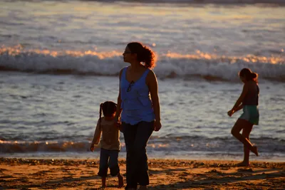 DSC_1274 (Large).JPG